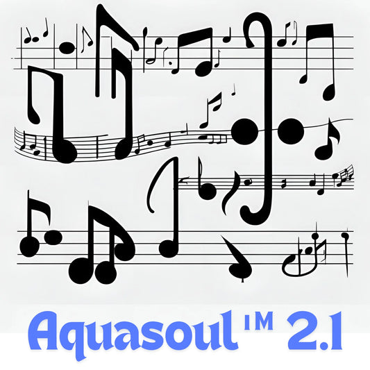 Aquasoul™ Pro 2.1 Sound System