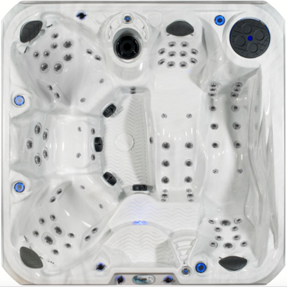 Strong Spas: Fair Special 91"