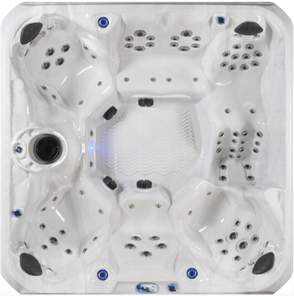 Strong Spas: Fair Special 91"